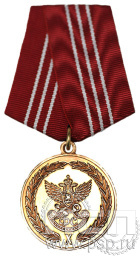 Медаль «За службу» III степени ГФС6
