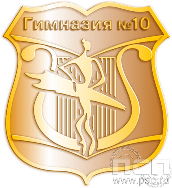 295.0 Значок 