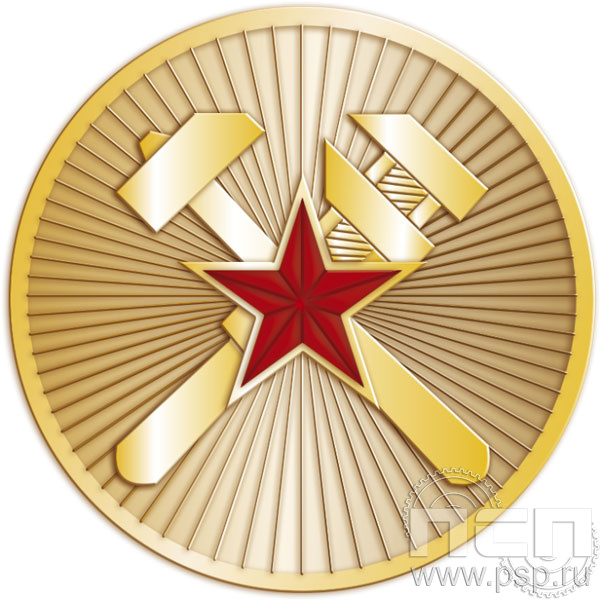 318.0. Значок "210 лет Топографическая служба ВС РФ"