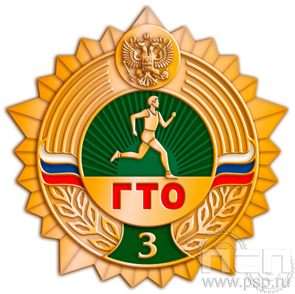 Значок ГТО бронза СРиЗ3