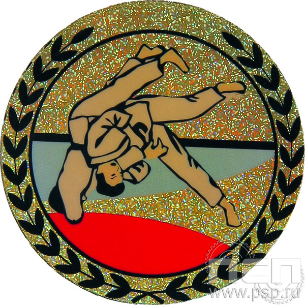 Голограмма самоклеящаяся Дзюдо д.25 AGM125