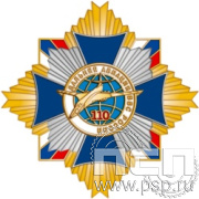 5.3(b). Нагрудный знак "110 лет Дальняя Авиация ВВС России"