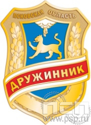 1691.0. Нагрудный знак "Дружинник"