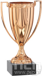 Кубок 9025/B (20см)