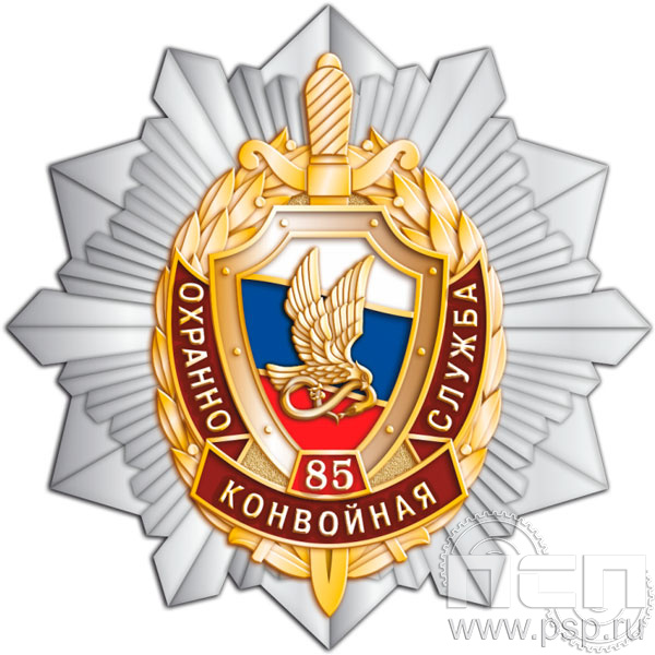 Нагрудный знак «85 лет ОКС Охранно-конвойная служба МВД РФ» 263.21к