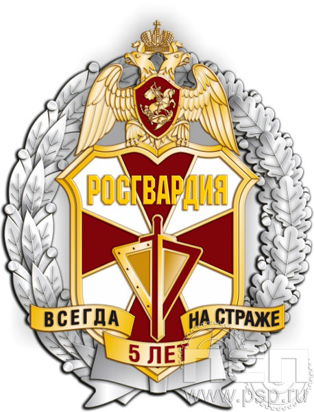 05.76. Нагрудный знак "5 лет Росгвардия"