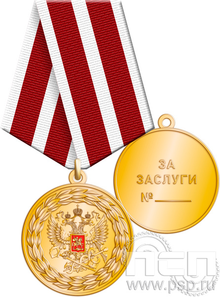 Медаль ФНС-4 «За заслуги» 