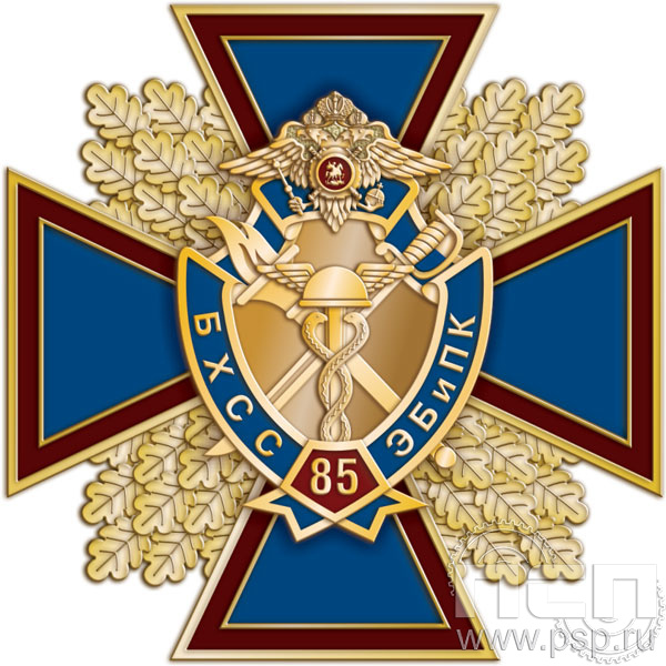 77.59. Нагрудный знак "85 лет БХСС ЭБ и ПК"