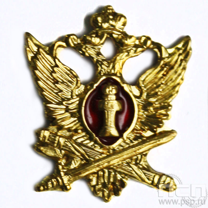 Значок ФСИН (латунь) 654.0к