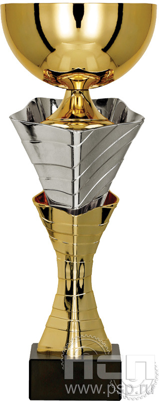Кубок 4218C (30см) D-120