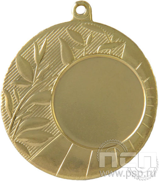 Медаль MD14045/G 45(25) G-2мм