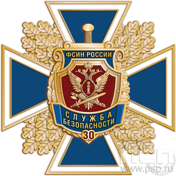 77.63. Нагрудный знак "30 лет Служба безопасности ФСИН России"