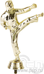 Фигурка пластиковая Каратэ 8060-1 15,2см