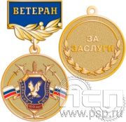 245.0.56. Медаль "100 лет Авиация ФСБ"