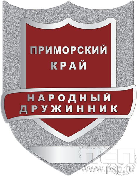 1503.0. Нагрудный знак "Народный дружинник"