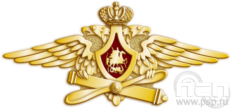 289.0. Значок "Орел ВВС"