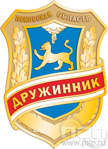 1691.0. Нагрудный знак "Дружинник"