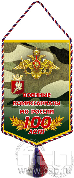 Вымпел «100 лет Военные комиссариаты»