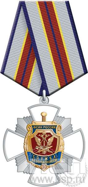 277.22.1. Нагрудный знак "30 лет Служба безопасности ФСИН России"