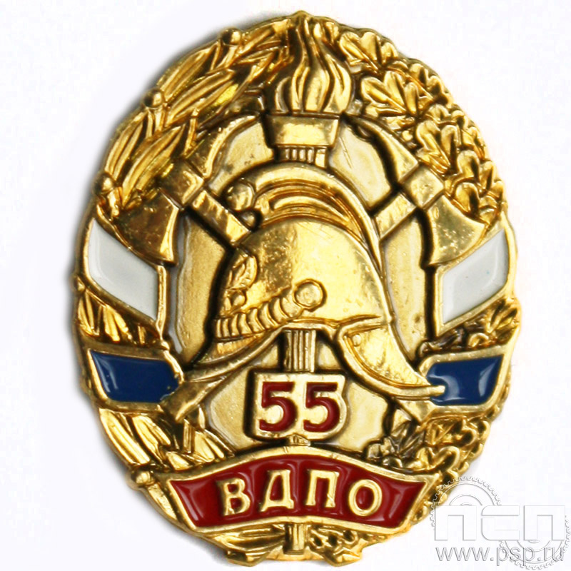 Значок 55 лет ВДПО России 791.0к