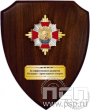 5.8.01.155. Панно со знаком "85 лет Пожарно-прикладной спорт" на деревянном щите