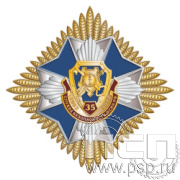 5.3.a Нагрудный знак " 35 лет Служба безопасности ФСИН 